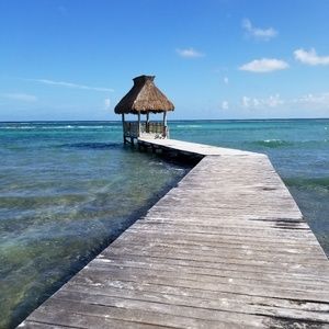 Meet your Posher, Alison